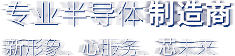 專業(yè)半導(dǎo)體制造商